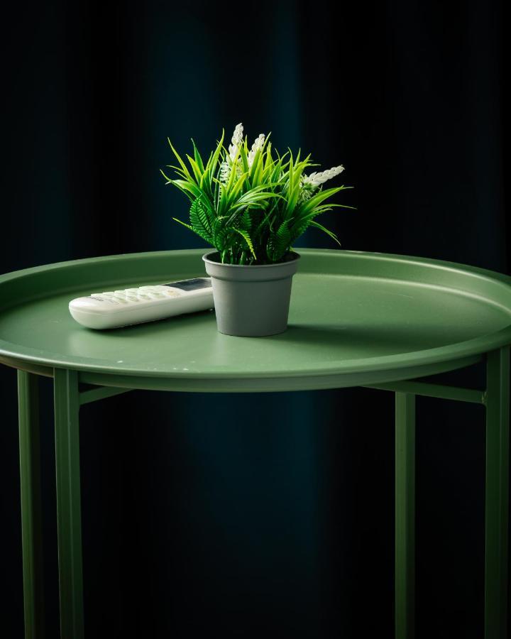 Cozy And Chic Studio Apartment Тирана Екстер'єр фото